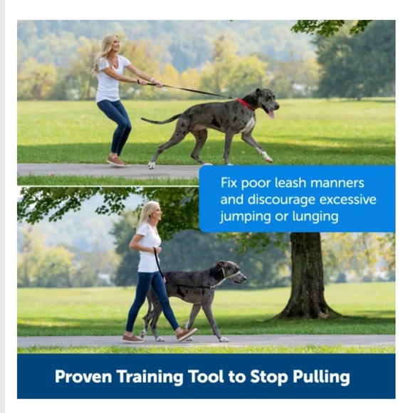 TWO Gentle leaders. DONUTS and POPPY patterns head collar and leash, size Medium - Picture 4 of 8